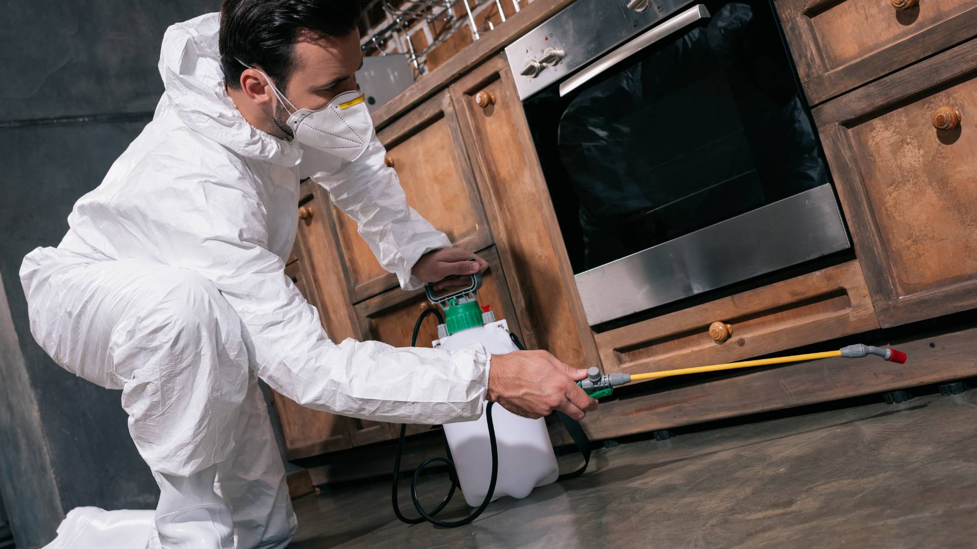 pest control expert servicing a commercial kitchen