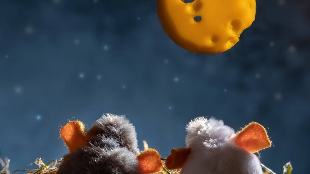 2 mice looking at the cheese moon being a reference of: What Is the Best Bait for Catching Mice?