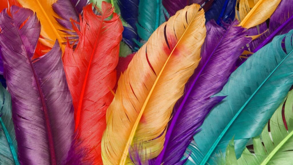 multiple color of feathers as harbringers of pest presence are feathers a sign of pest infestation?