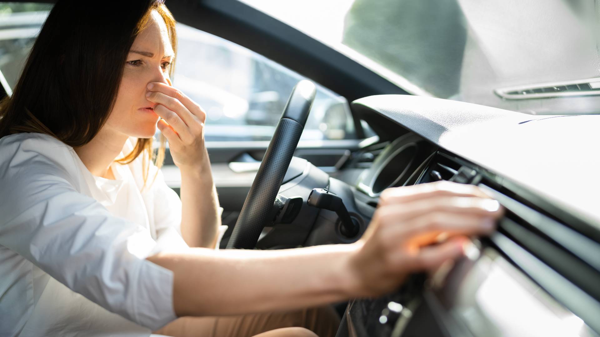 How To Get Rid of Rat Urine Smell on Car: 5 Effective Methods