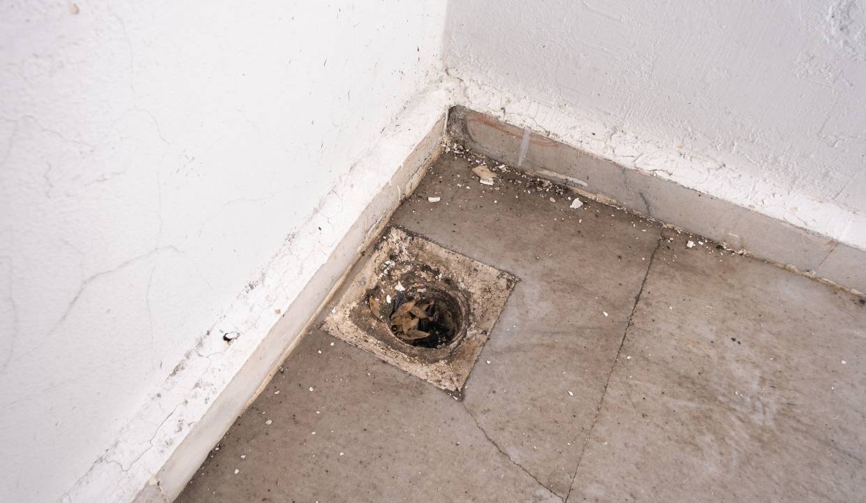 an open hole in the floor that is an entry point for any pest specially mice.