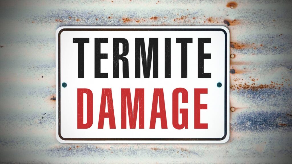 termite damage sign to illustrate ensuring the free living in your new house with preventing mesures