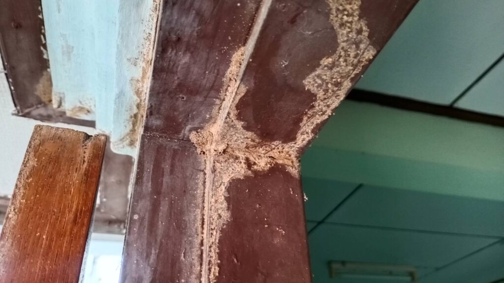 door mark damaged by termites to illustrate cost of tenting a home for termites