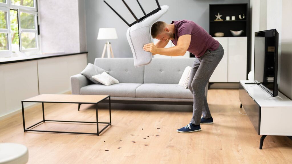 a man screaming after seeing many cockroaches on his living room wondering if does bleach can kill cockroaches or not