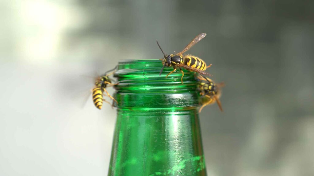 wasps on the top of a bottle to illustrate effective strategies and best way to get rid of wasps in siding