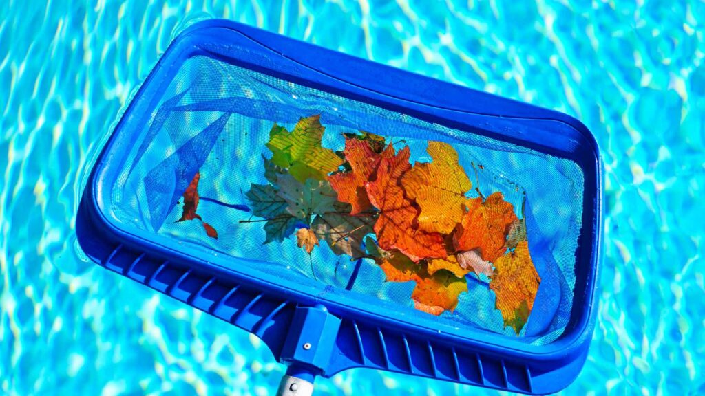 cleaning leaf from pool to illustrate how to get rid of mosquito larvae from your pool
