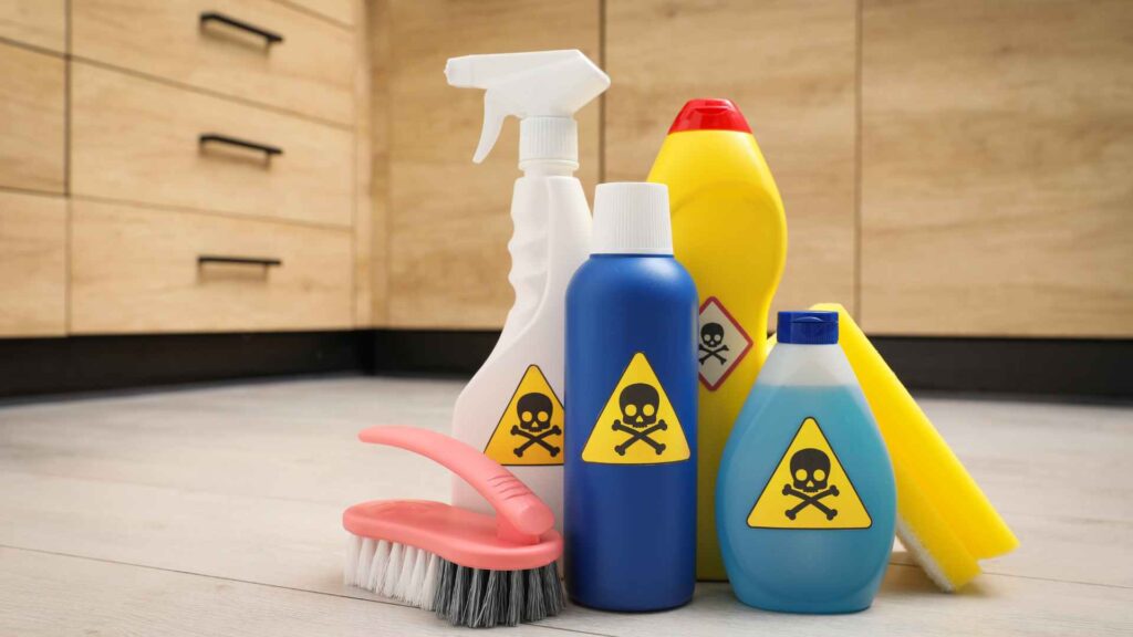 top pick commercial flea control products for quick treatments for house 