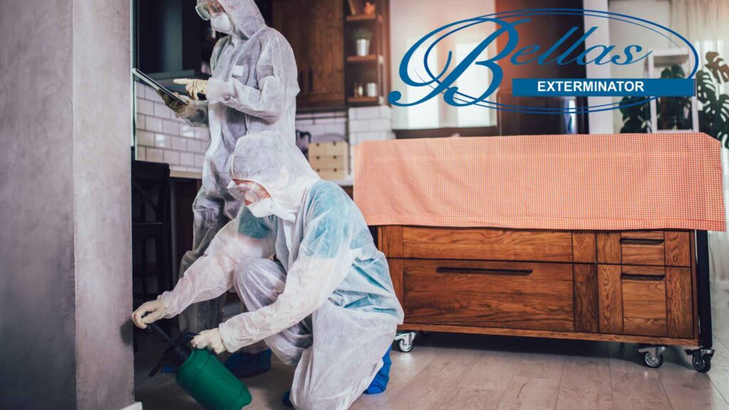 pest control technicians from bellas exterminator 