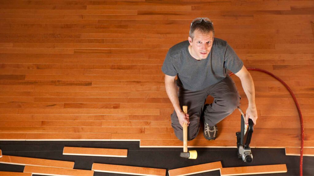 DIY vs Profssional treatment Termites in Hardwood Floors