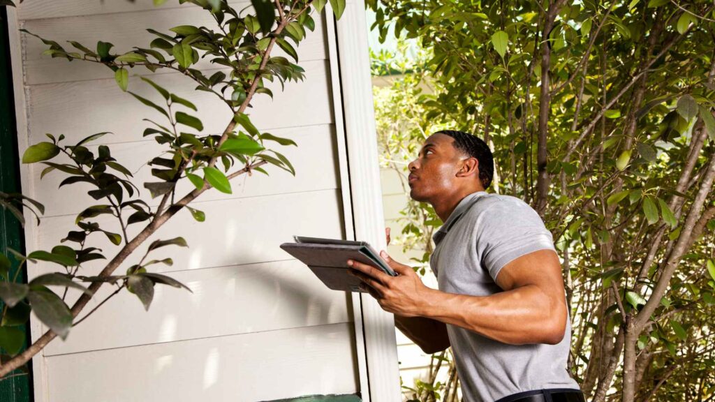 man inspecting wood for termintes final recommendations