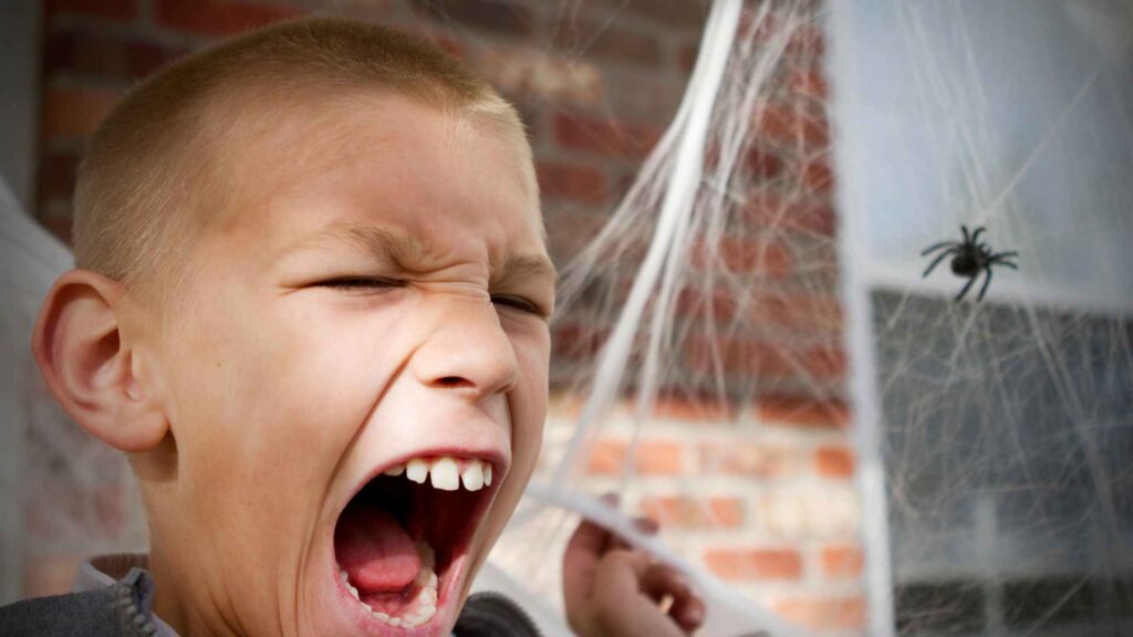 a boy screaming in a spider web