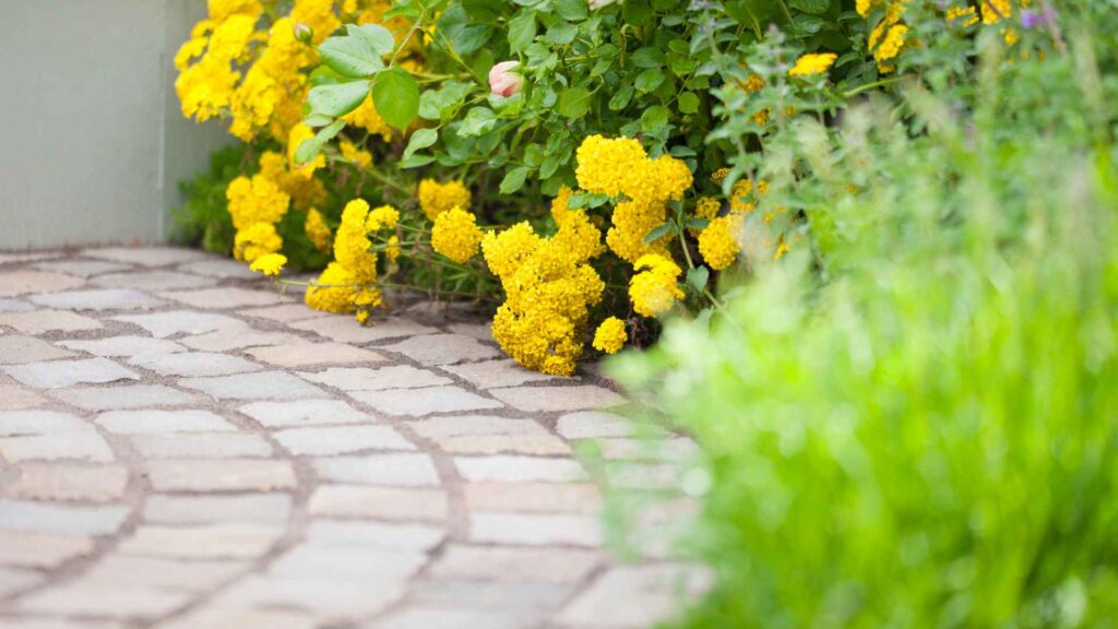 yard entrance with flowers and the best way to keep mosquitoes away from patio