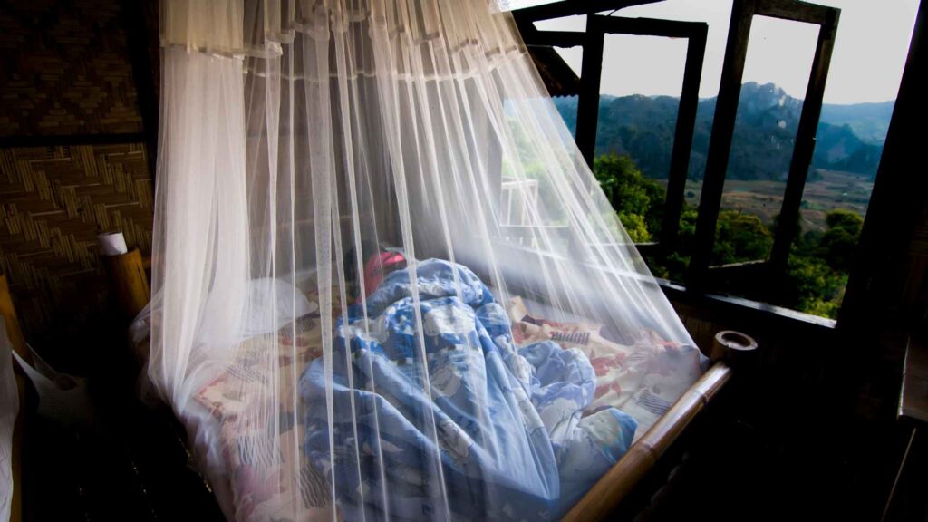 mosquito protection for bed with the windows open for Prevention and Control of Mosquitoes