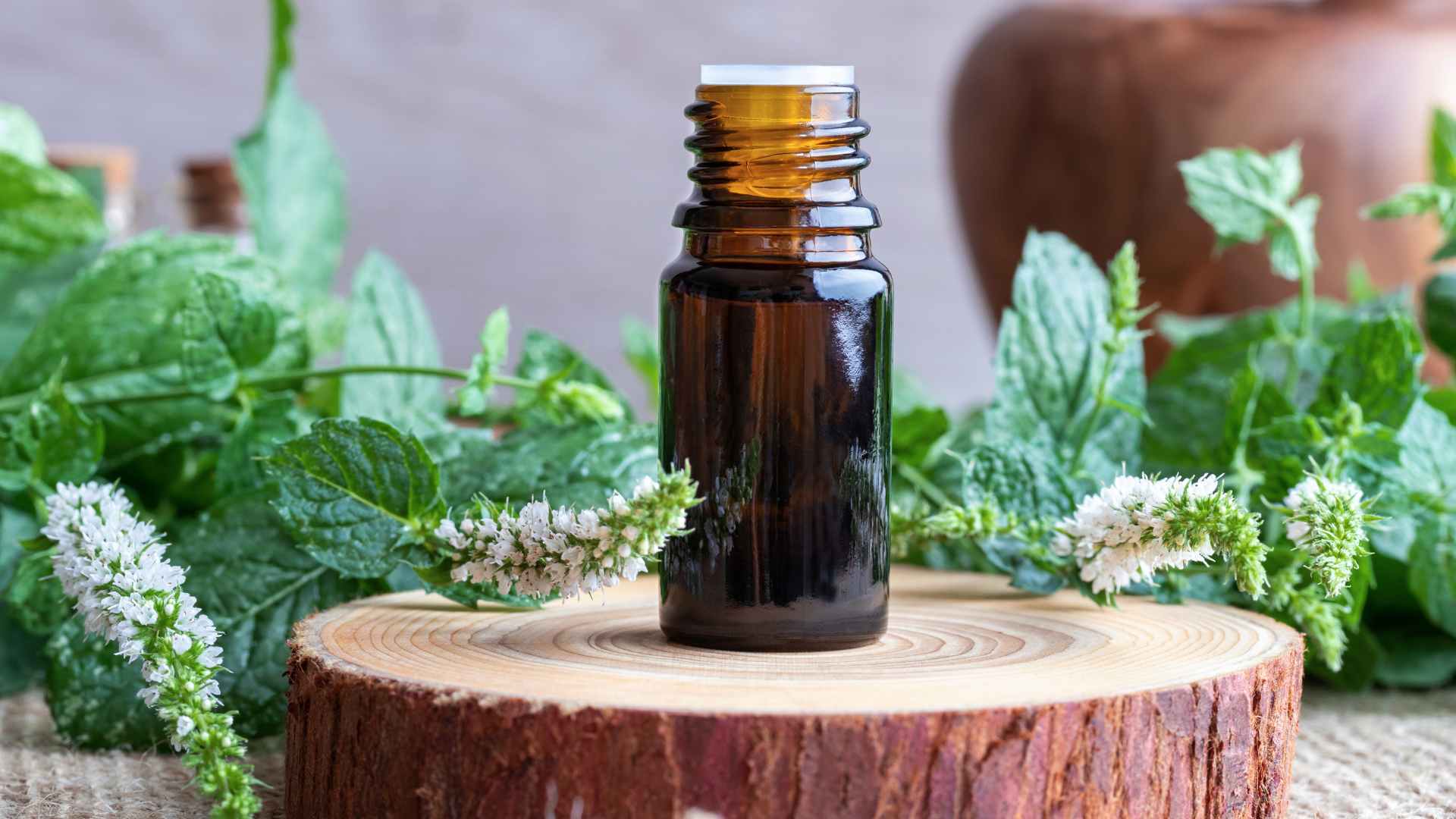 How Long Does Peppermint Oil Repel Ants?