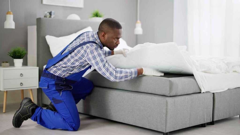 man doing a treatment for bed bugs in bed.