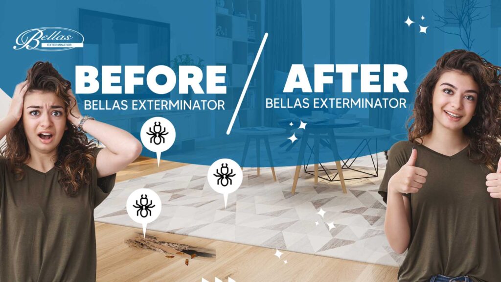 girl before and after bellas exterminator professional flea and tick yard treatment