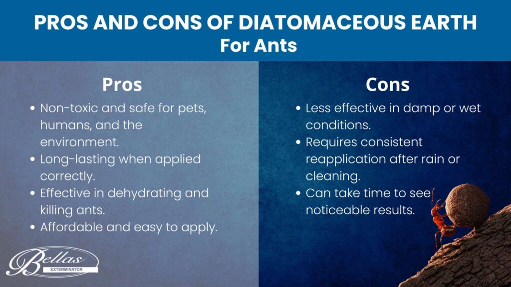 Benefits of Using Diatomaceous Earth for Ant Control