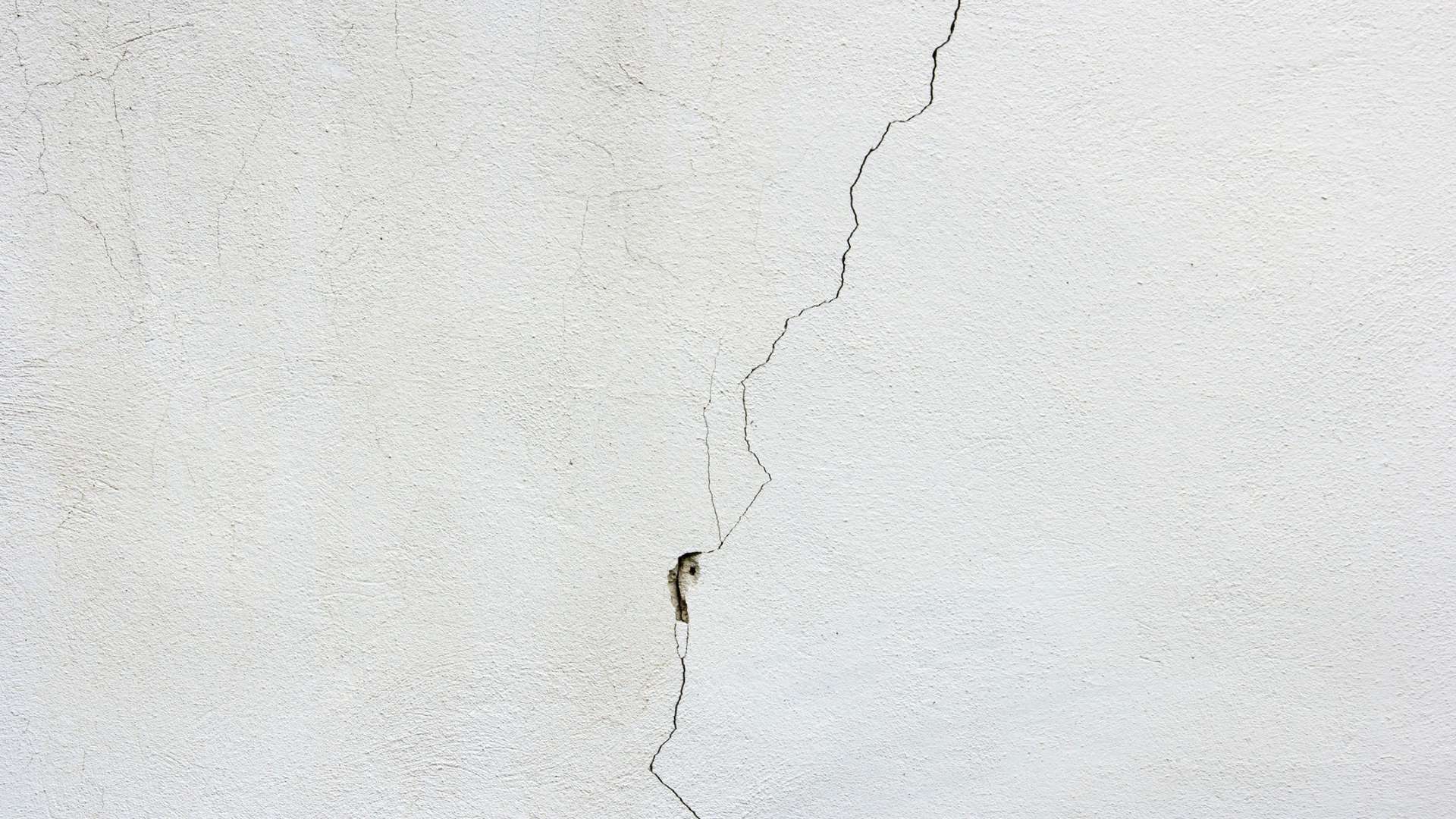 a crack in a wall to explain how do ants get inside the walls