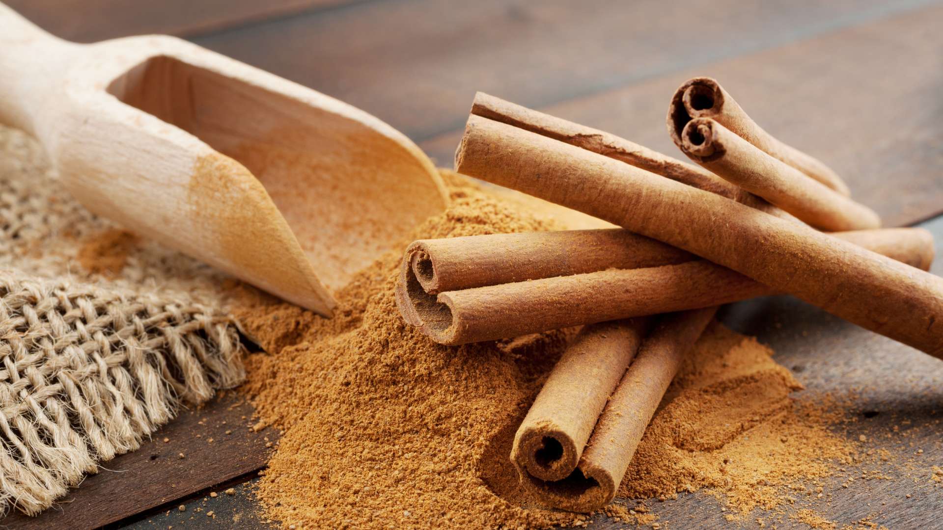 Ant Control with Cinnamon: Does It Really Work?