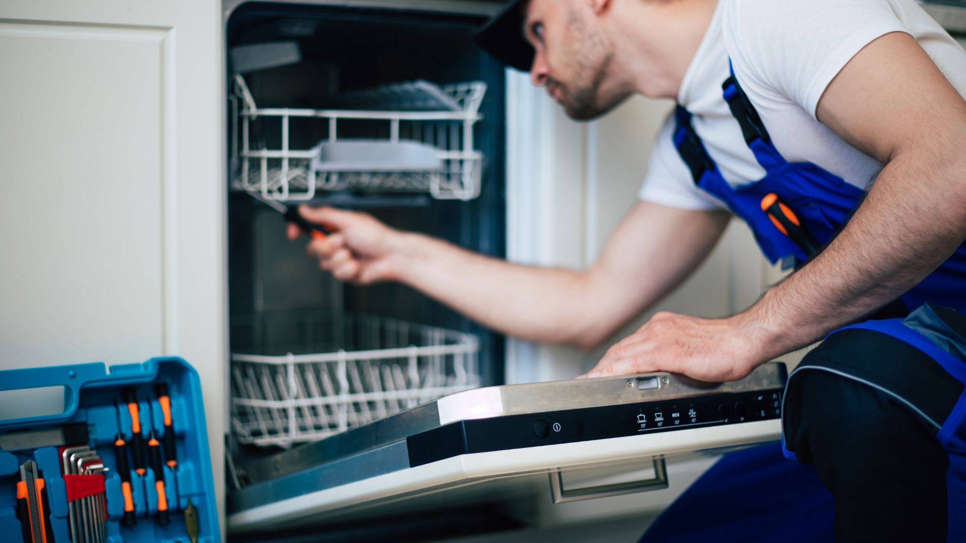 pest control technician checking for mice infestation under the dishwasher and how to get rid of it 