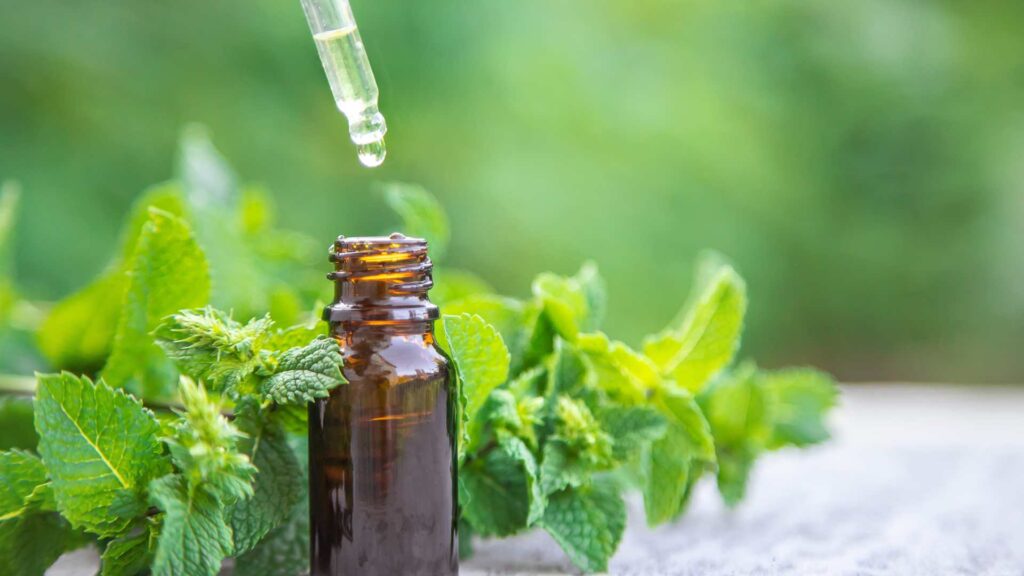 peppermint oil to represent one of the preventive measures for mice entry points