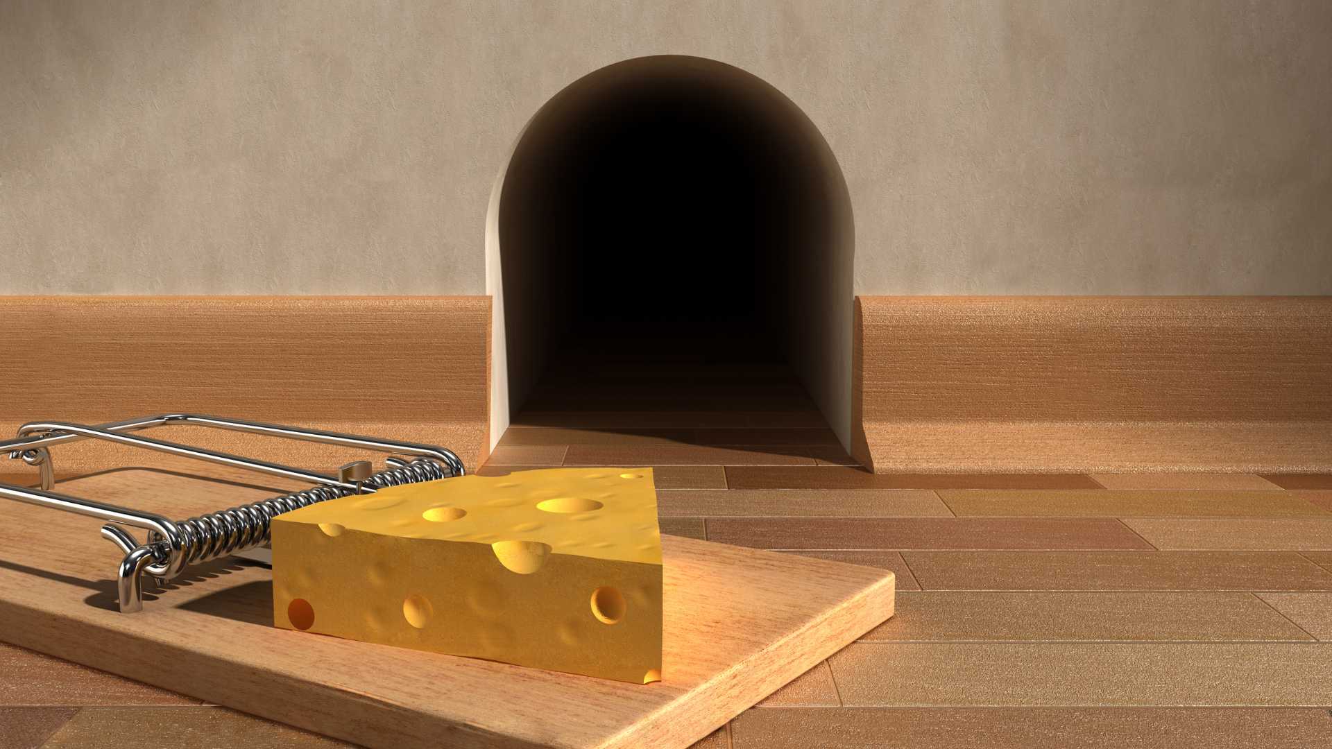 snap trap for mice with cheese in front of the mouse hole to represent alternative methods when mice are not eating the poison baits