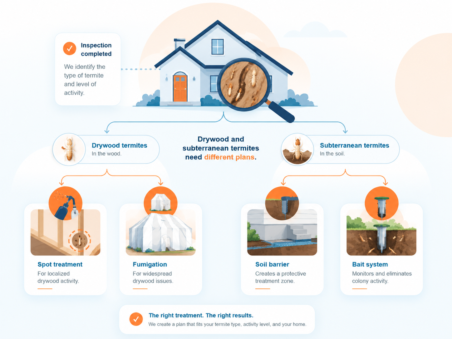 Termite warning signs and inspection details around a home